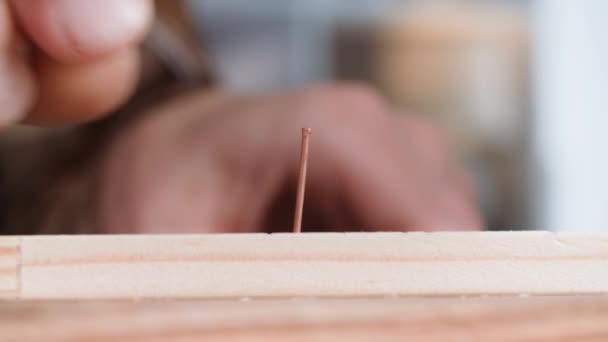Carpenter Man Hammer Hammers Nail Wooden Board While Assembling Furniture — Stock Video