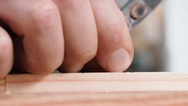 Reparação Construtor Masculino Usando Martelos Pregos Martelo Uma Placa Madeira — Vídeo de Stock