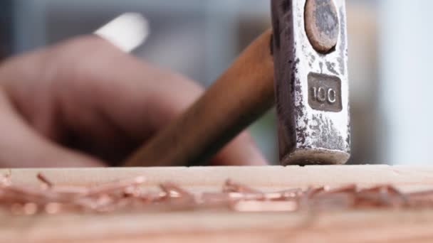 Woodworker Trabalhador Masculino Usando Martelo Martelos Prego Uma Placa Madeira — Vídeo de Stock