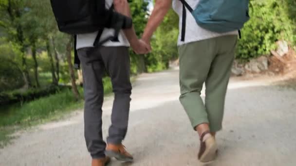 Milující Starší Žena Muž Držící Ruce Dohromady Kráčející Silnici Parku — Stock video