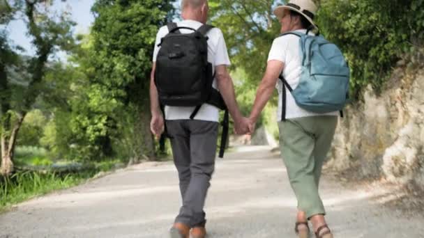 Active Old People Elderly Spouses Walk Holding Hands Road While — Stock Video