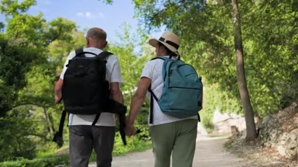 Female Male Pensioners Backpacks Holding Hands While Walking Together Park — Stock Video
