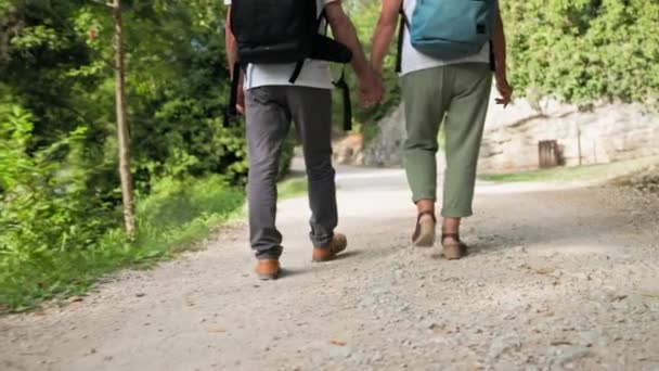Călătorie Pensie Soți Bătrâni Fericiți Rucsacuri Ținând Mâinile Timp Merg — Videoclip de stoc