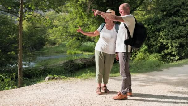 Turistas Activos Ancianos Hombres Mujeres Divierten Juntos Mirando Hermosas Vistas — Vídeos de Stock