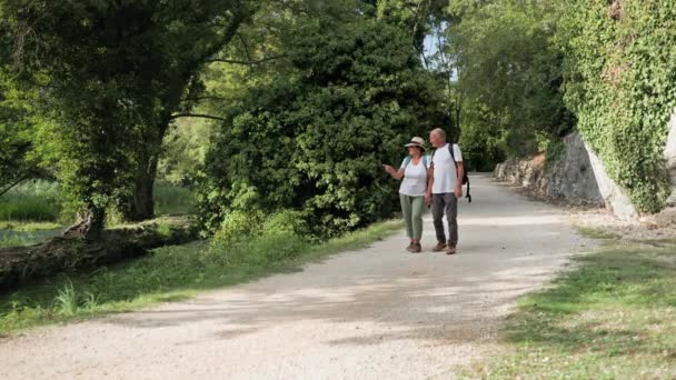 Vârstnicii Distrează Soțul Bătrân Soția Ținând Mâinile Timp Merg Parc — Videoclip de stoc