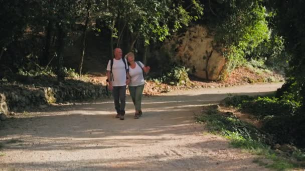 Pensionärssemester Glada Äldre Par Njuter Promenad Tillsammans Parken Hålla Händerna — Stockvideo
