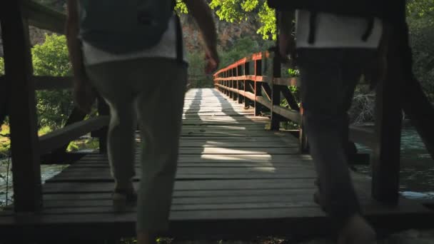 退休人员的一生温暖的日子里 一男一女牵着手沿着公园里一座桥在树上散步 — 图库视频影像