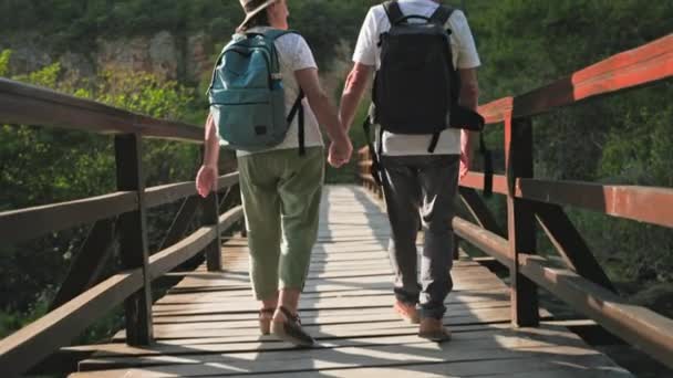 Turismo Jubilación Ancianos Caminando Tomados Mano Parque Caminando Largo Del — Vídeo de stock
