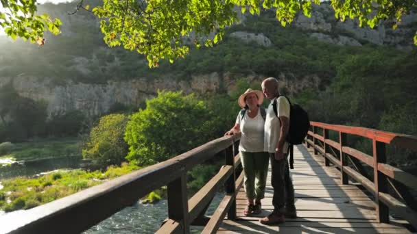 Vidám Idős Férfi Együtt Sétálnak Parkban Hídon Állnak Megcsodálják Helyi — Stock videók