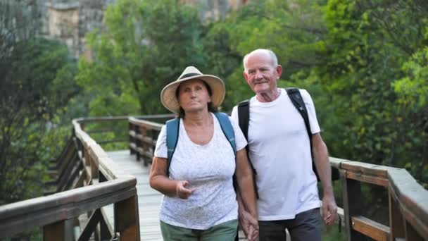 Alegre Viejo Marido Esposa Tomados Mano Caminar Largo Del Puente — Vídeos de Stock