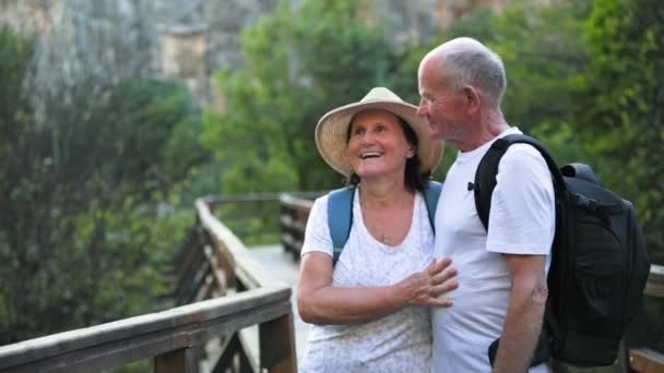Vacaciones Jubilación Felices Ancianos Pensionistas Mujeres Hombres Disfrutan Turismo Mientras — Vídeos de Stock