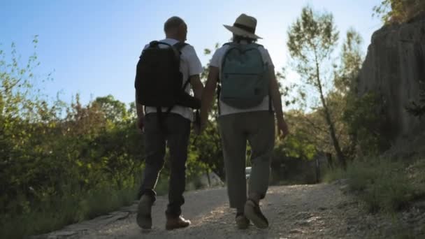 休暇中に公園を歩いている間 バックパックを持っている幸せな高齢者のカップルで楽しい — ストック動画