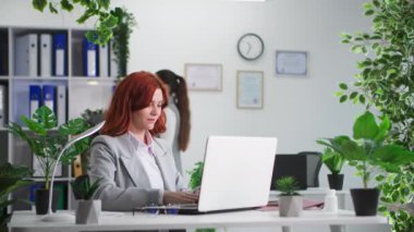 Çalışma ortamı, genç bir kadın ve meslektaşı laptopta çalışıyor çevre şirketinde masada oturuyor.