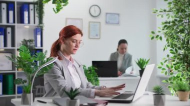 Takım çalışması, gözlüklü genç bir kadın bilgisayarla çalışıyor ve ofisinde yeşil bitkilerle oturan bayan meslektaşından belgeler alıyor.