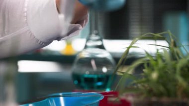 Tarım kimyasalı araştırmaları, koruyucu eldivenli profesyonel erkek laboratuvar asistanı, laboratuvar, yakın çekim ve hastalık teşhisi için elinde bitki ve toprak kalitesi olan test tüpü tutuyor.