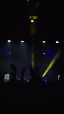 Müzikle dalgalanan hayranların karanlık silueti. Ön planda iki kadın ellerini kaldırarak arka plandaki sahne ışıklarına el sallıyor. Mavi ve sarı flaş