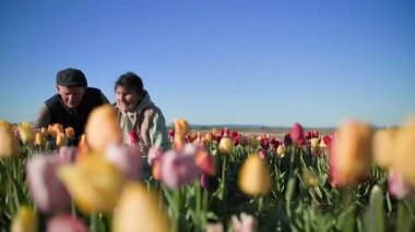 Yaşlı bir çift çiçek tarlasında çiçeklerin yanında oturur ve önündeki lalelerin bolluğunun tadını çıkarırlar. Mutlular, çiçeklere bakıyorlar ve dokunuyorlar.