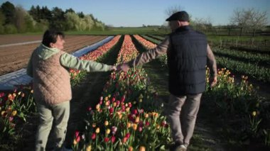 Mutlu yaşlı çift el ele tutuşup çiçek tarlasının ortasında yürüyorlar, mavi gökyüzünün ve güzel ılık bahar havasının arka planına karşı.