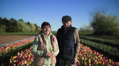 Çiçekli yaşlı bir adam ve kadın bir çiçek tarlasının ortasında sıralı laleler arasında kol kola yürür, mavi bir gökyüzünün ve güzel ılık bir bahar havasının arka planına karşı.