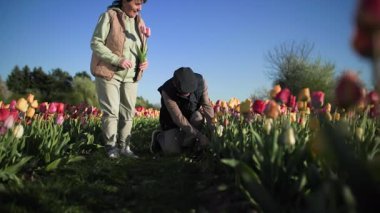 Renkli çiçeklerle dolu bir tarlanın ortasında yaşlı bir adam çiçek tarlasından laleleri alıp karısına veriyor. Sonra kadın onu öpüyor. Tepeden tırnağa hareket.