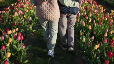 Mutlu ve keyifli bir şekilde birbirine sarılan emekli bir çift, çiçek tarlalarının ortasında çiçek tarlaları, yeşil çayırlar ve güzel ılık bahar havası boyunca yürüyorlar. Çerçeve hareket ediyor