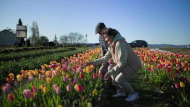 Çiçeklere yakın oturan mutlu yaşlı bir çift, açık mavi bir gökyüzünün arka planında, güzel, güneşli bir bahar, kendi elleriyle inceler ve çiçeklere dokunurlar.