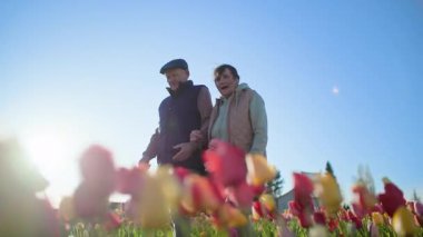Ellerinde çiçekleri tutan yaşlı bir kadın, bir erkeğin elini tutuyor, çiçek tarlalarında birlikte yürüyor, güneşin arka planına, mavi gökyüzüne ve güzel ılık bahar havasına karşı. Alt görüntü
