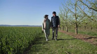 Şehrin dışındaki bir dinlenme tesisinde, yaşlı bir çift şehir dışında, bir tarlanın kenarındaki yeşil çimlerin üzerinde, meyve ağaçlarını geçerek yürüyor. Yaşlı kadın adamın yanında yürüyor, elinde tutuyor.