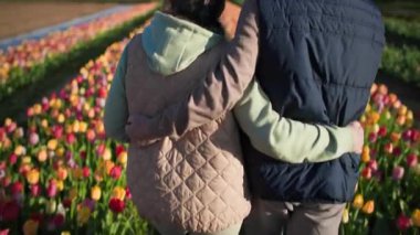 Mutlu ve keyifli bir şekilde birbirine sarılan emekli bir çift, çiçek tarlalarının ortasında çiçek tarlaları, yeşil çayırlar ve güzel ılık bahar havası boyunca yürüyorlar. Çerçeve hareket ediyor