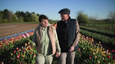 Lale çiçekleriyle yaşlı bir adam ve kadın, neşeli ve mutlu bir şekilde, mavi gökyüzünün ve güzel ılık bahar havasının zemininde, düzenli laleler arasında el ele yürür.