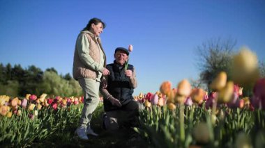 Yaşlı bir adam diz çöküp bir çiçek topluyor ve onu kadınına veriyor. Çiçeklerin arasında, açık mavi bir gökyüzünün arka planında, ılık bir bahar havasında.