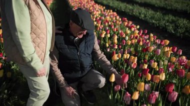 Emekli kadın hangi çiçeği istediğine dikkat çeker, sonra erkek onu keser ve ona verir, açık mavi gökyüzünün arka planına karşı, ılık bahar havasında. Tepeden tırnağa hareket.