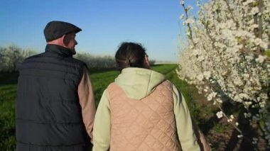 Emekli bir erkek ve kadın, çiçek açan beyaz yapraklarla uzun bir sıra meyve ağacı boyunca el ele yürür. Arka plan açık mavi bir gökyüzü ve güzel sıcak bahar havası. Sırtından vurulmuş.