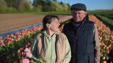 Çiçekli yaşlı bir adam ve kadın, yeşil çayırlara ve güzel ılık bahar havasına karşı, lalelerin düzenli sıraları boyunca birlikte yürür.