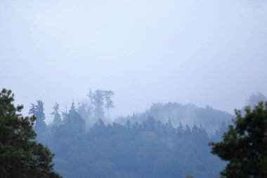 Bulutlu, ağaçlı ve sisli manzara