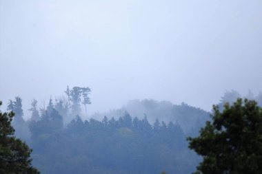 Bulutlu, ağaçlı ve sisli manzara