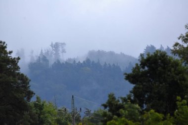 Bulutlu, ağaçlı ve sisli manzara