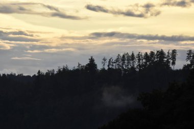 Bulutlu, ağaçlı ve sisli manzara