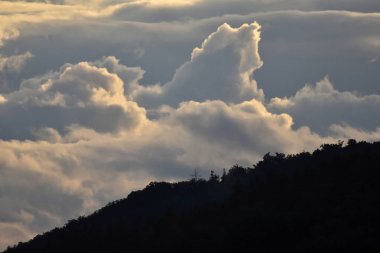 Bulutlu, ağaçlı ve sisli manzara