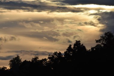 Bulutlu, ağaçlı ve sisli manzara