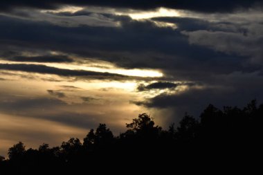 Bulutlu, ağaçlı ve sisli manzara
