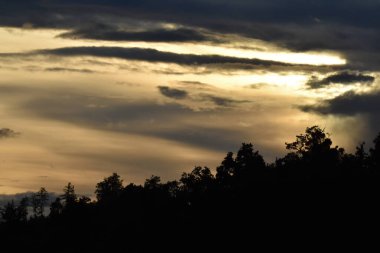 Bulutlu, ağaçlı ve sisli manzara