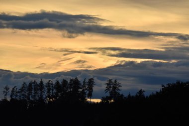 Bulutlu, ağaçlı ve sisli manzara