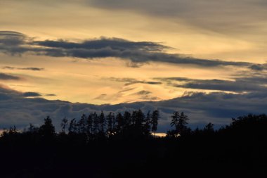 Bulutlu, ağaçlı ve sisli manzara