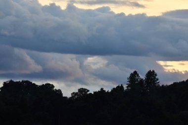 Bulutlu, ağaçlı ve sisli manzara