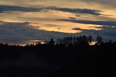 Bulutlu, ağaçlı ve sisli manzara