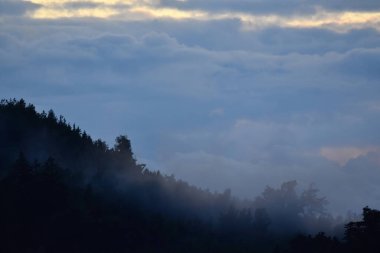 Bulutlu, ağaçlı ve sisli manzara