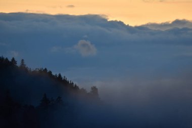 Bulutlu, ağaçlı ve sisli manzara
