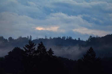 Bulutlu, ağaçlı ve sisli manzara