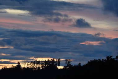 Bulutlu, ağaçlı ve sisli manzara